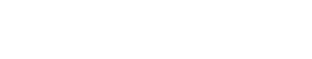 Snowdome Foundation